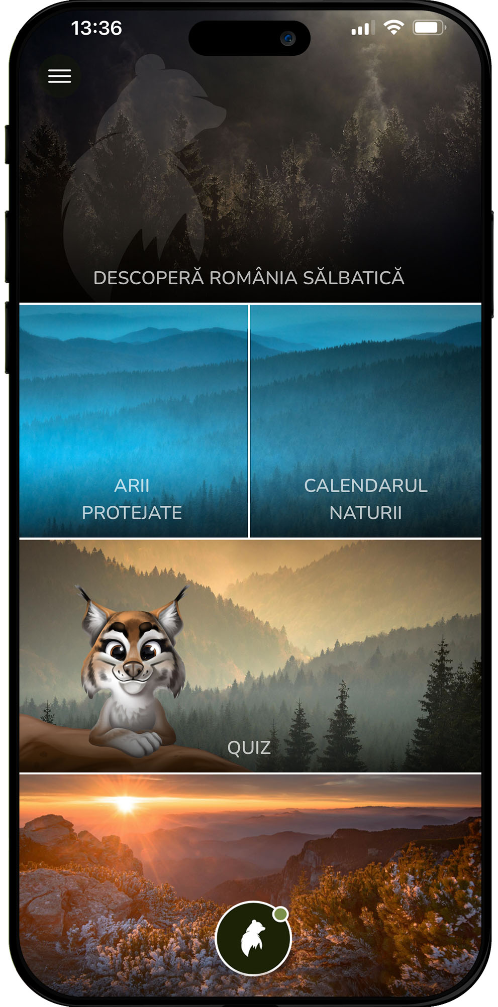 Aplicație